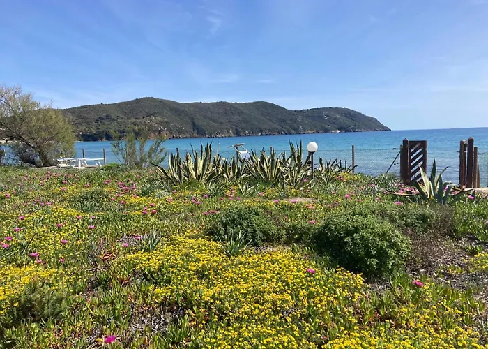 Il Guardingo * Rio dellʼElba
